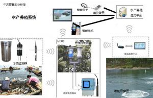 农业智能 水产养殖系统中的物联网溶解氧传感器