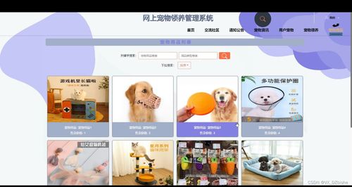 附源码 基于springboot网上宠物领养管理系统 计算机毕设 05971